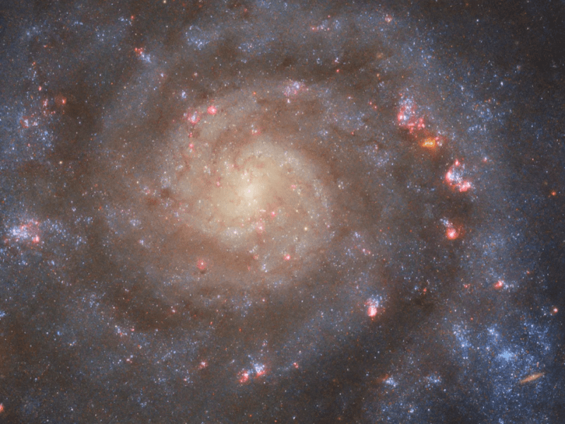 NASA's Hubble Space Telescope captures the face-on spiral galaxy, IC 5332. ESA/Hubble & NASA, R. Chandar, J